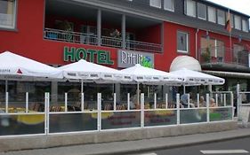 Hotel Rhein Inn